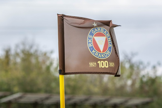 深入分析这 深入分析这