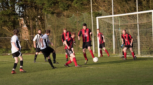 逐渐形成了 逐渐形成了