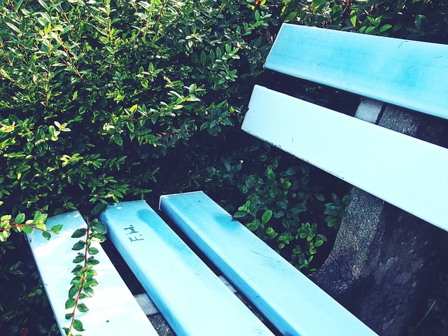 拜仁慕尼黑 拜仁慕尼黑