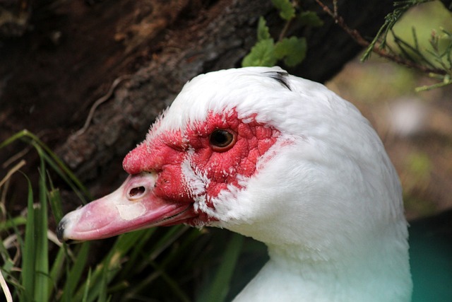 本赛季曼城 本赛季曼城