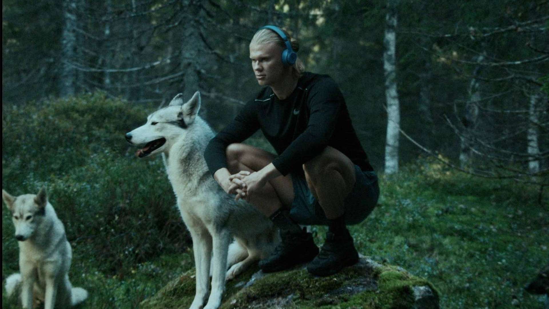 成績有目共 成績有目共