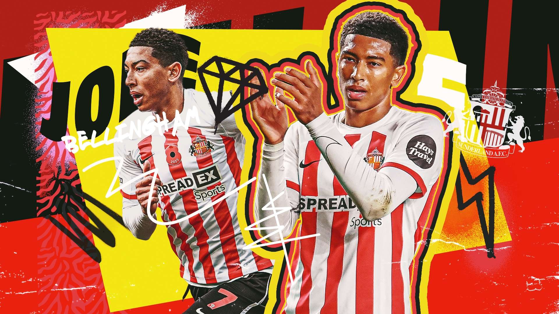 这是哈兰德 这是哈兰德