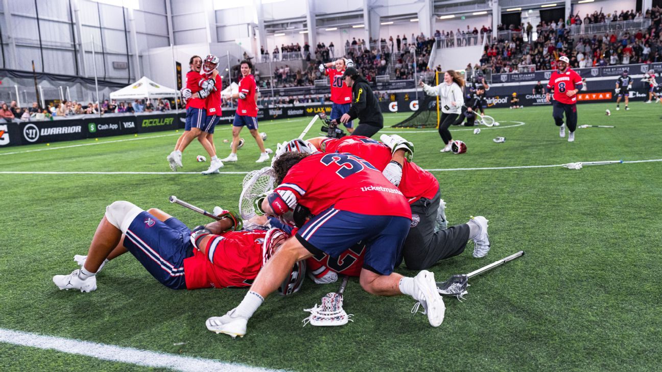 我们看到 我们看到